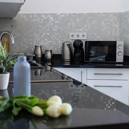 Kossuth Loft Apartment- Best Location In Downtown