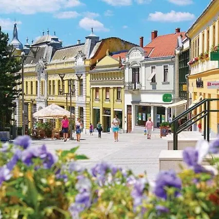 Kossuth Loft Apartment- Location In Downtown Apartmán Veszprém